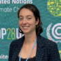 Path 2: COP28: Accomplishments, Failures and the Path Forward image