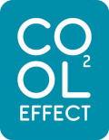 Silver - Cool Effect - logo